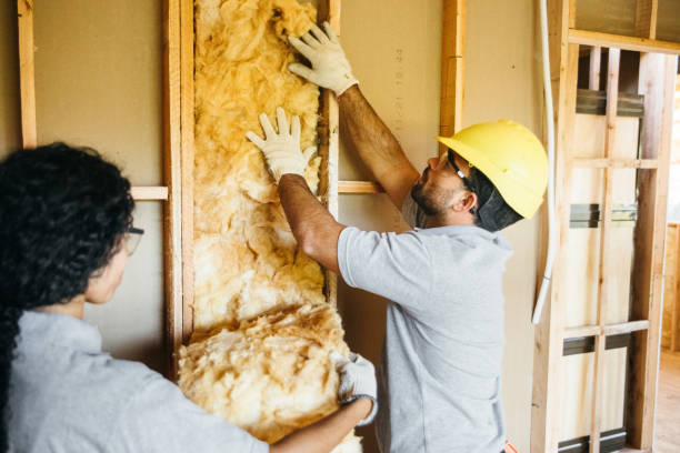 Best Batt and Roll Insulation  in Buffalo Grove, IL